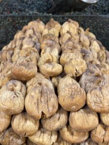 SAP ÇEKME JUMBO İNCİR