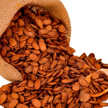 KARPUZ ÇEKİRDEĞİ